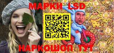стаф Гатчина