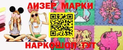 стаф Гатчина