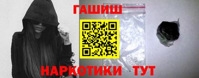 стаф Гатчина