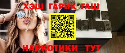 стаф Гатчина