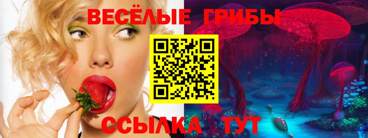Нарткала  Галлюциногенные грибы прущие грибы  Вход с VPN 